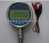 精密數(shù)字壓力計